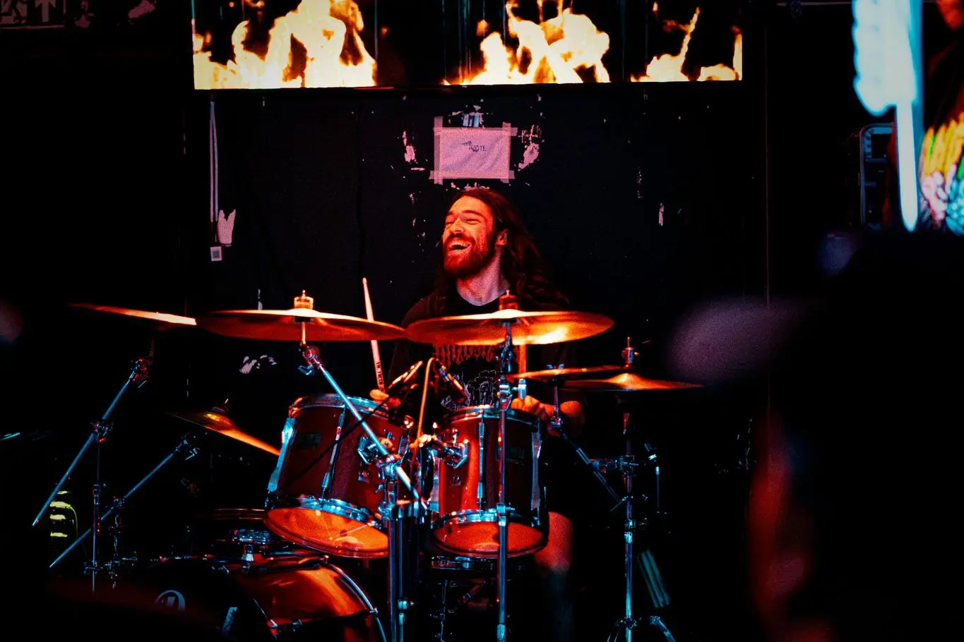 King Parrot performing live at The Victoria Inn, Derby (photo 3 of 46)