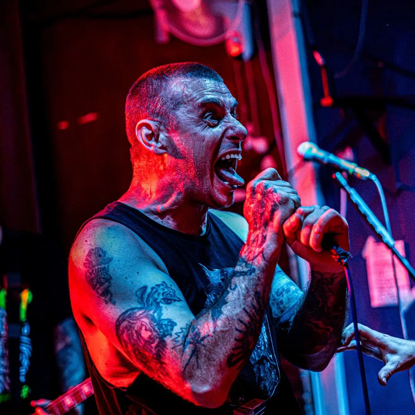 King Parrot performing live at The Victoria Inn, Derby (photo 5 of 46)