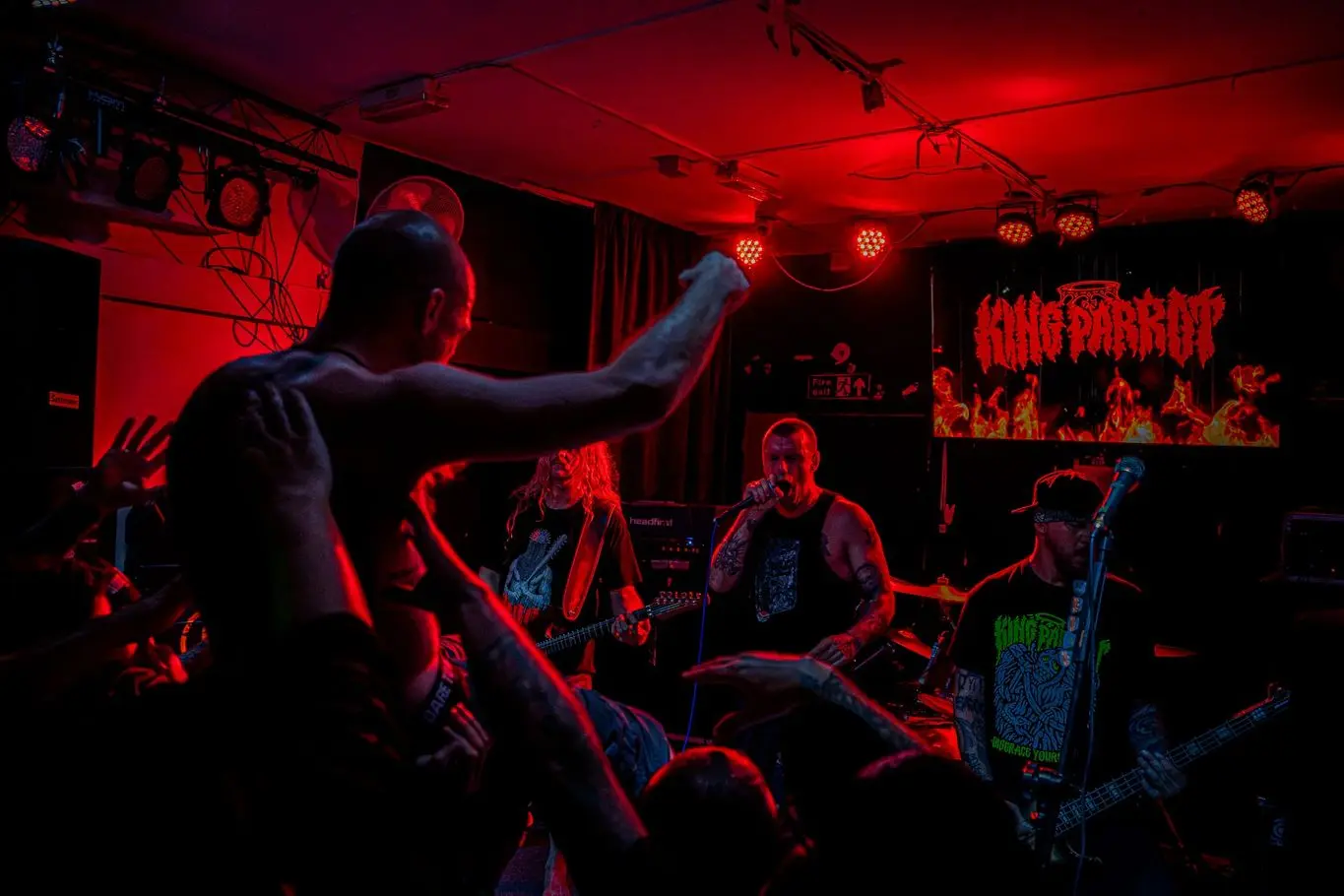 King Parrot performing live at The Victoria Inn, Derby (photo 6 of 46)
