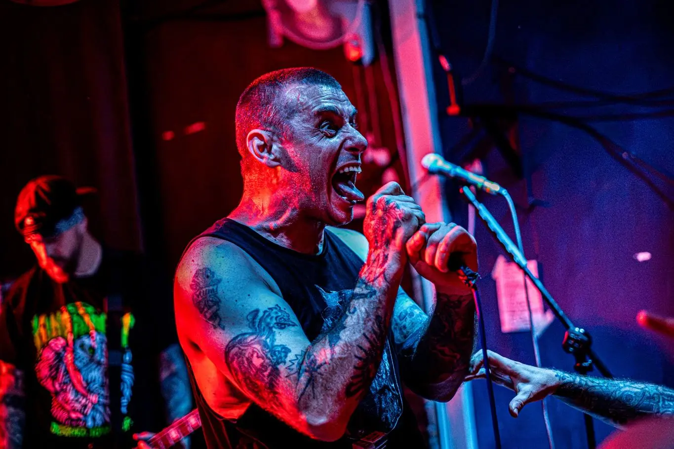 Live music photograph from the “Selected Shots” gallery (photo 8 of 16)