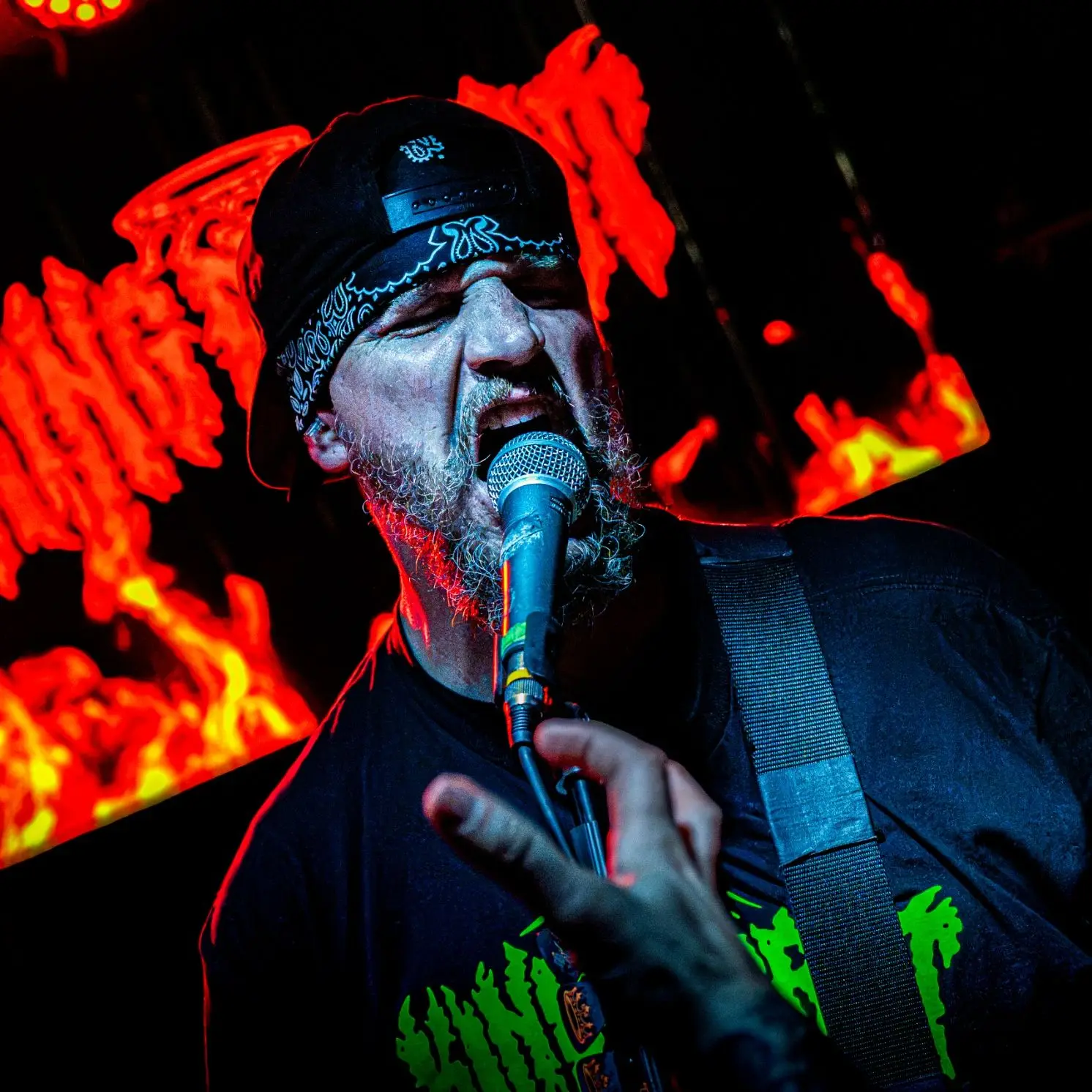 Live music photograph from the “Selected Shots” gallery (photo 14 of 16)