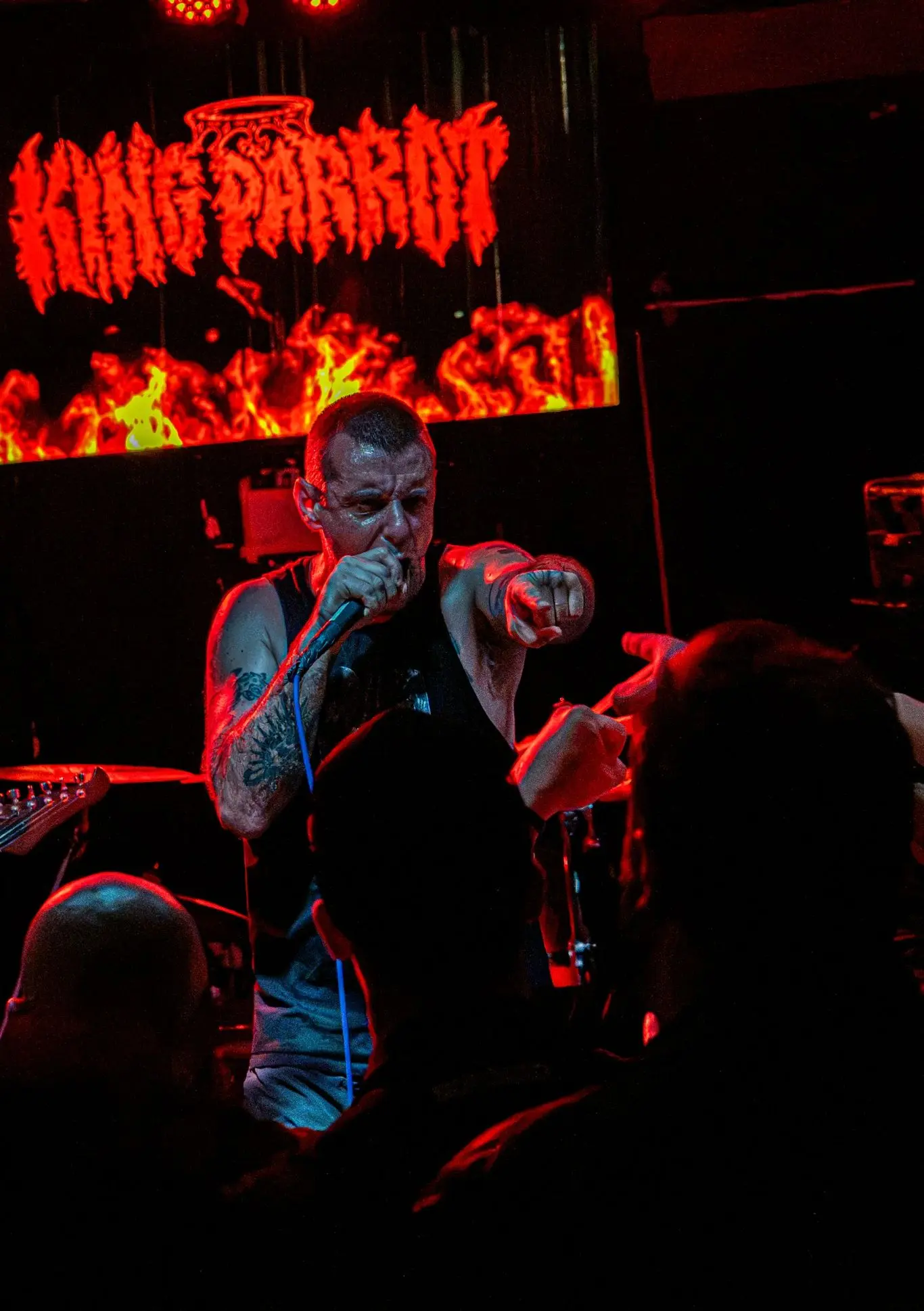 King Parrot performing live at The Victoria Inn, Derby (photo 16 of 46)